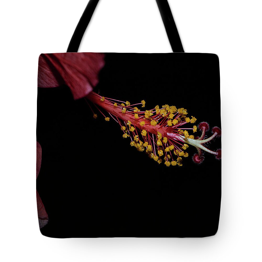 Hibiscus Tote Bag featuring the photograph At Dusk by M Kathleen Warren