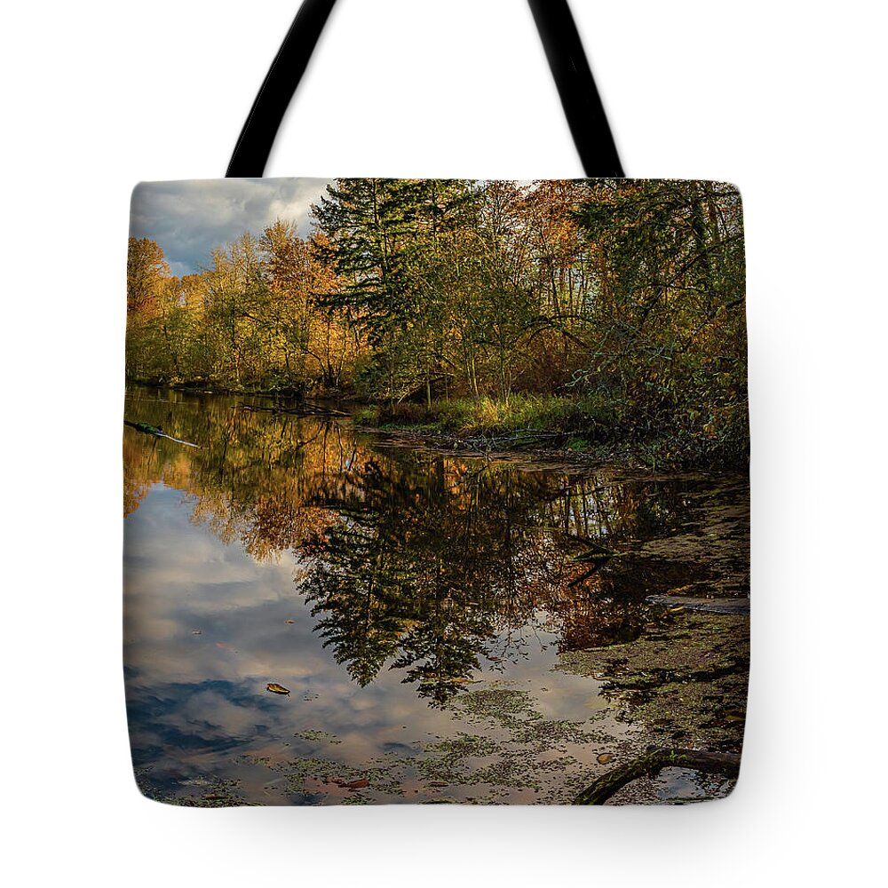  Tote Bag featuring the photograph At the pond by Ulrich Burkhalter