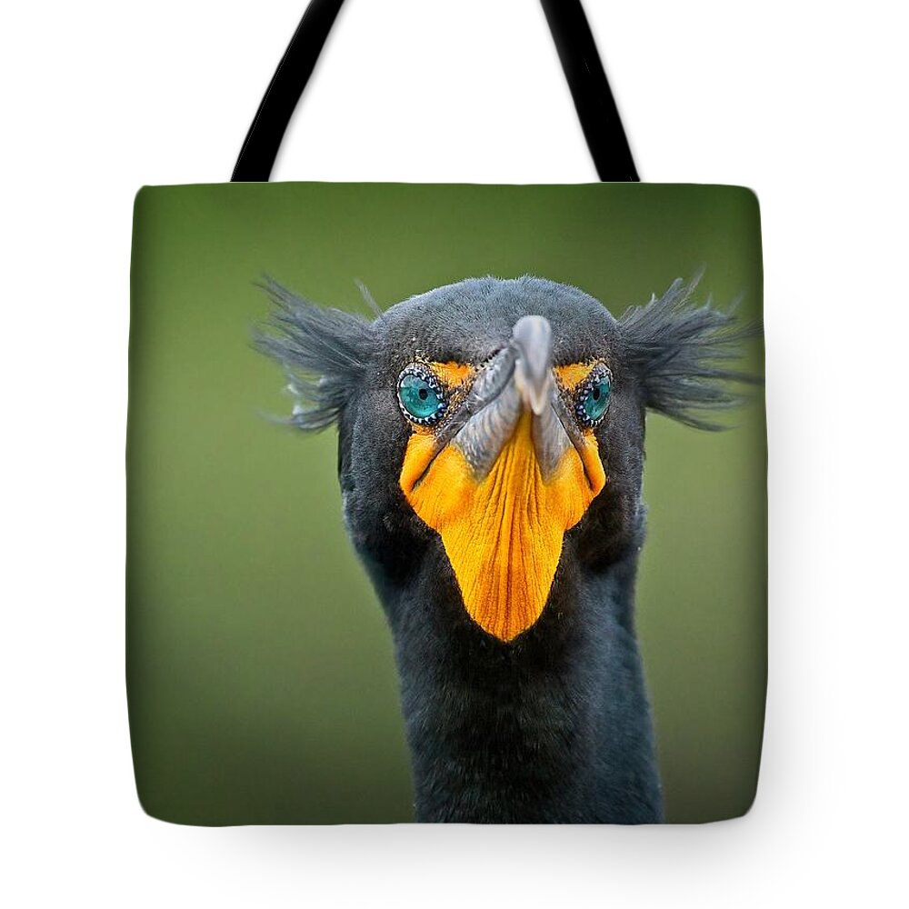 Wild Tote Bag featuring the photograph Attitude by Steve DaPonte