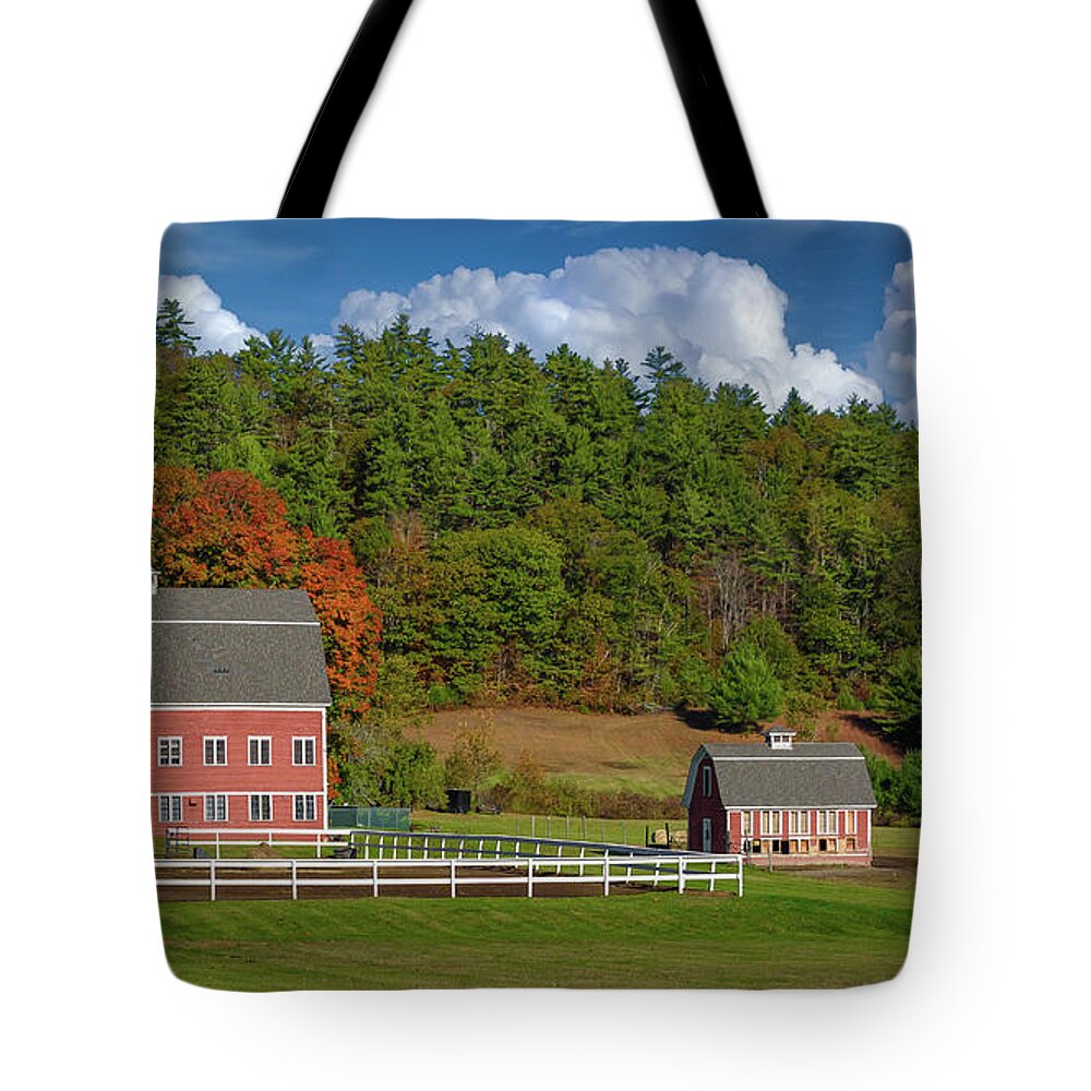 Barns Tote Bag featuring the photograph Auburn Barn 9209 by Guy Whiteley