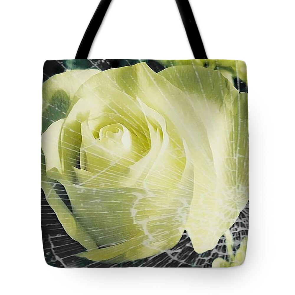 Rose Tote Bag featuring the photograph Aunt Edna's Rose by Rachel Hannah