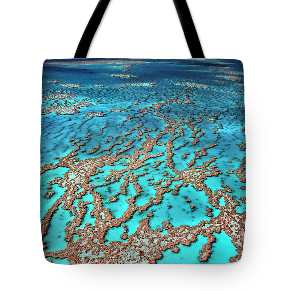 Australia Tote Bag featuring the photograph Australia - the Great barrier reef by Olivier Parent