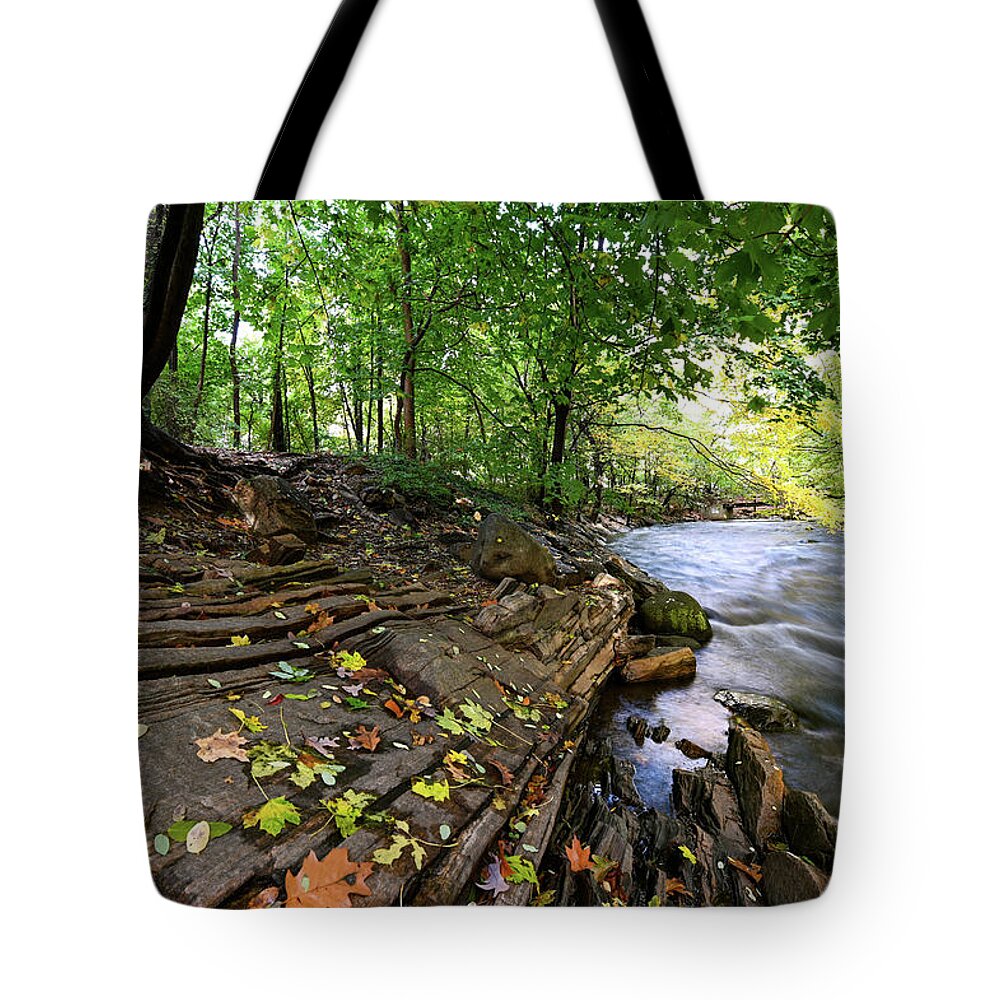 Autumn Tote Bag featuring the photograph Autumn Along the Bronx River by Kevin Suttlehan