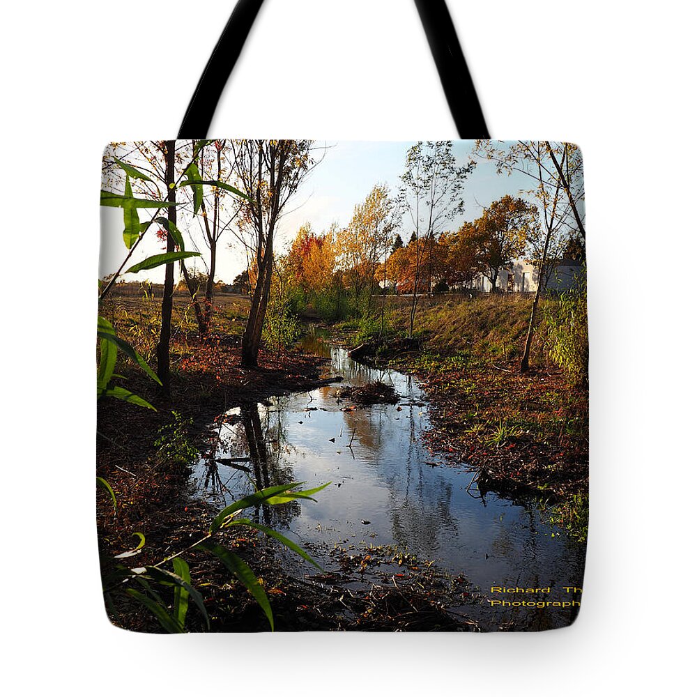 Fall Tote Bag featuring the photograph Autumn at Edgewater Creek by Richard Thomas