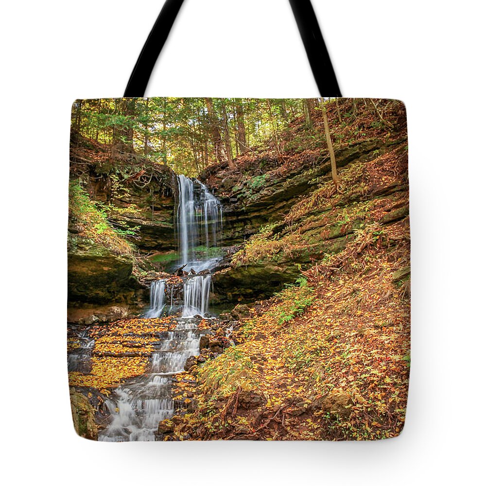 America Tote Bag featuring the photograph Autumn at Horseshoe Falls by Robert Carter