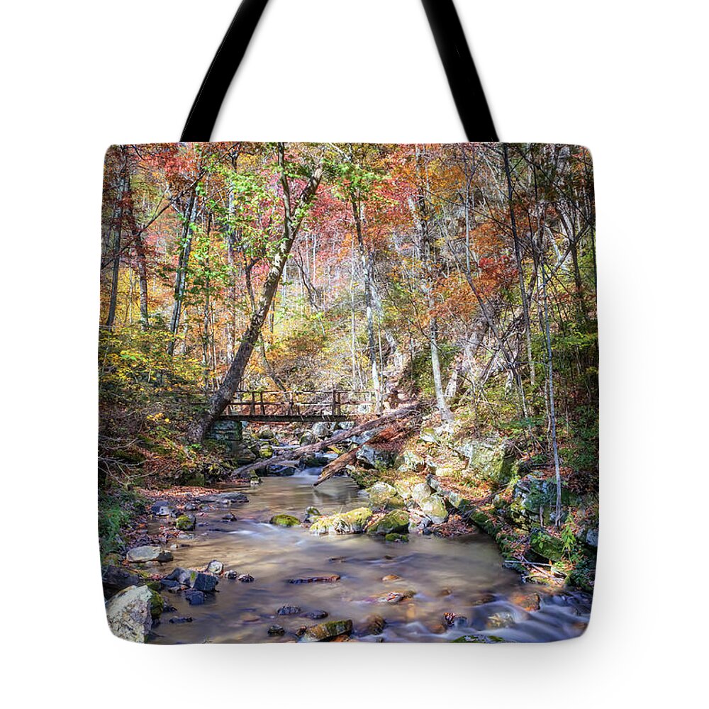 Roaring Run Tote Bag featuring the photograph Autumn at Roaring Run Creek by Susan Rissi Tregoning