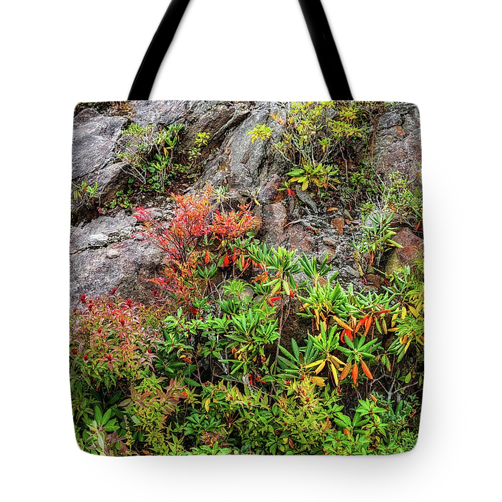 Autumn Tote Bag featuring the photograph Autumn Cliff Dwellers Panorama by Dan Carmichael