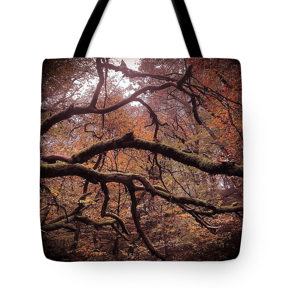 Autumn #denmark #forrest #trees #nature #branches #leaves #wood#red#day #october Tote Bag featuring the photograph Autumn by Colette V Hera Guggenheim