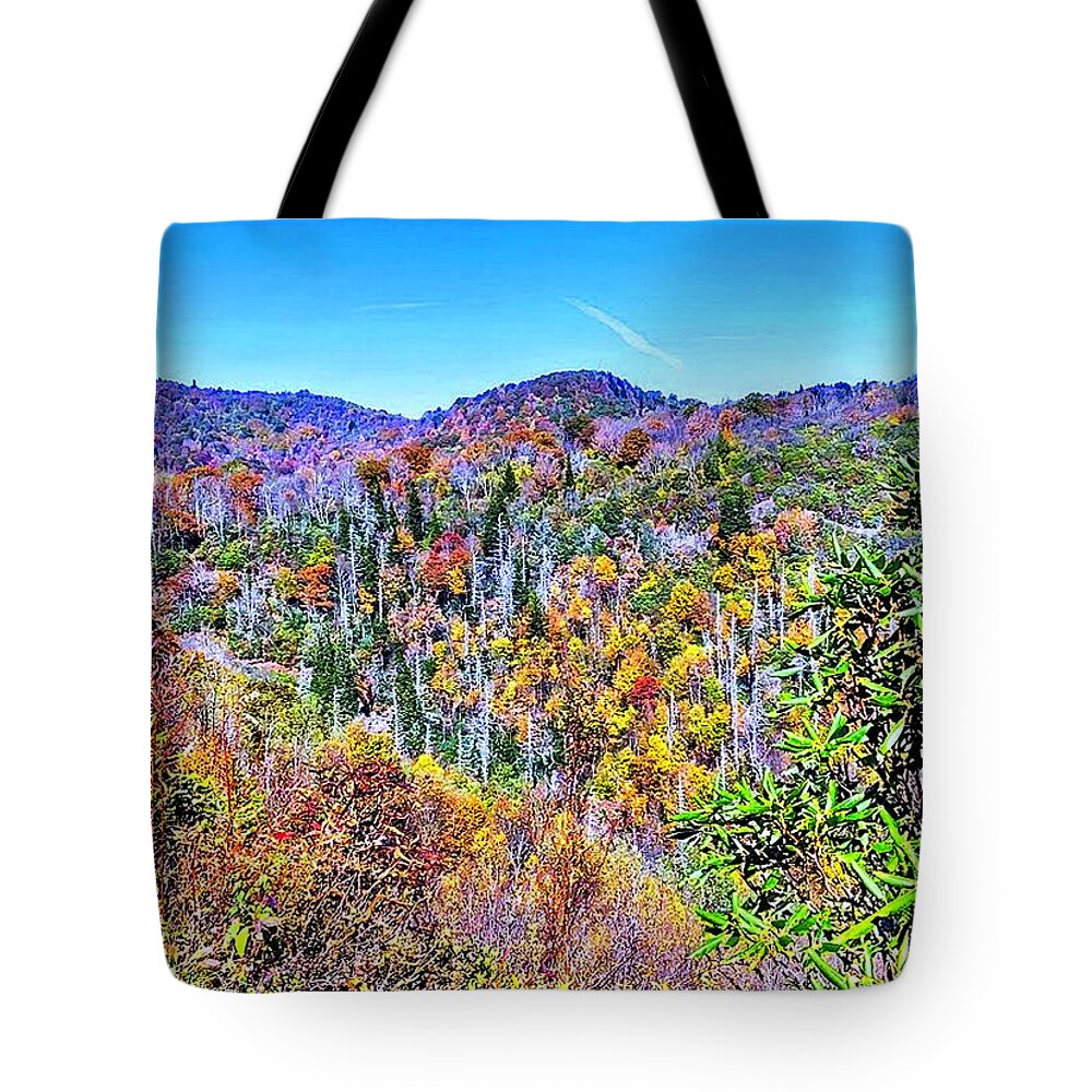 Autumn Tote Bag featuring the photograph Autumn Colors by Allen Nice-Webb