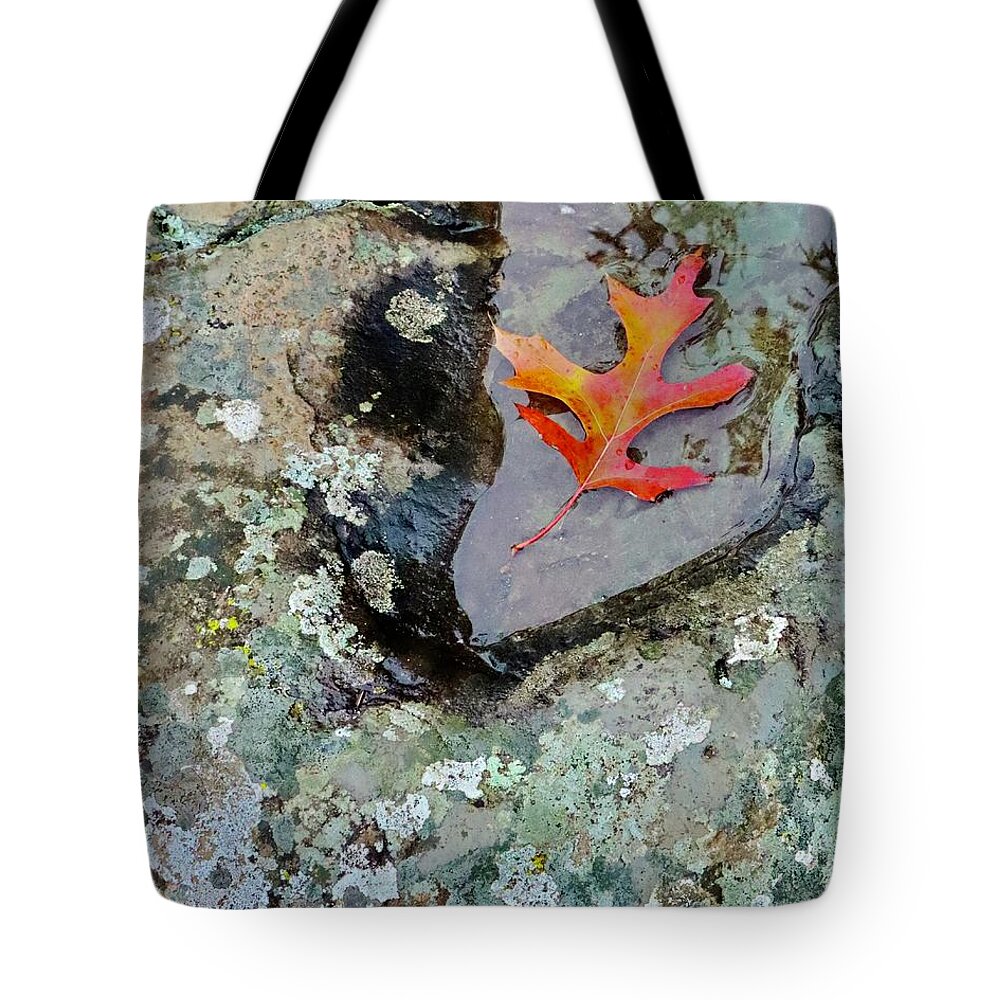 Autumn Tote Bag featuring the photograph Autumn Colors by Sarah Lilja