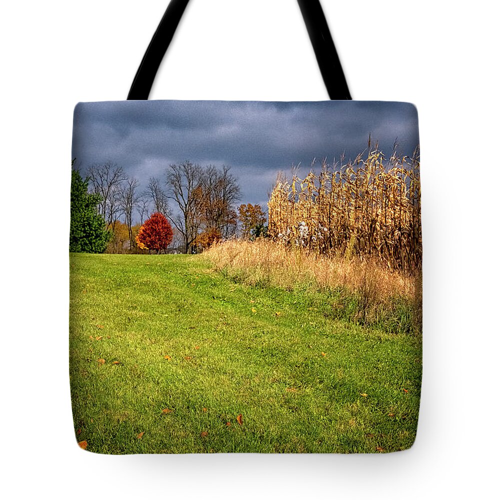 Lake Reflection Tote Bag featuring the photograph Autumn Corn Field by Tom Singleton