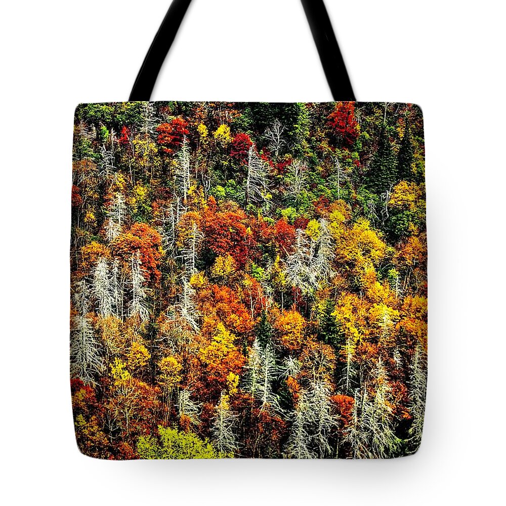 Autumn Tote Bag featuring the photograph Autumn Diversity by Allen Nice-Webb