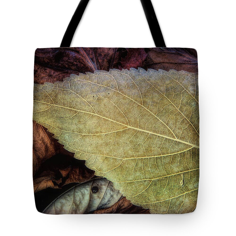 Fall Tote Bag featuring the photograph Autumn Enchantment by Steve Sullivan