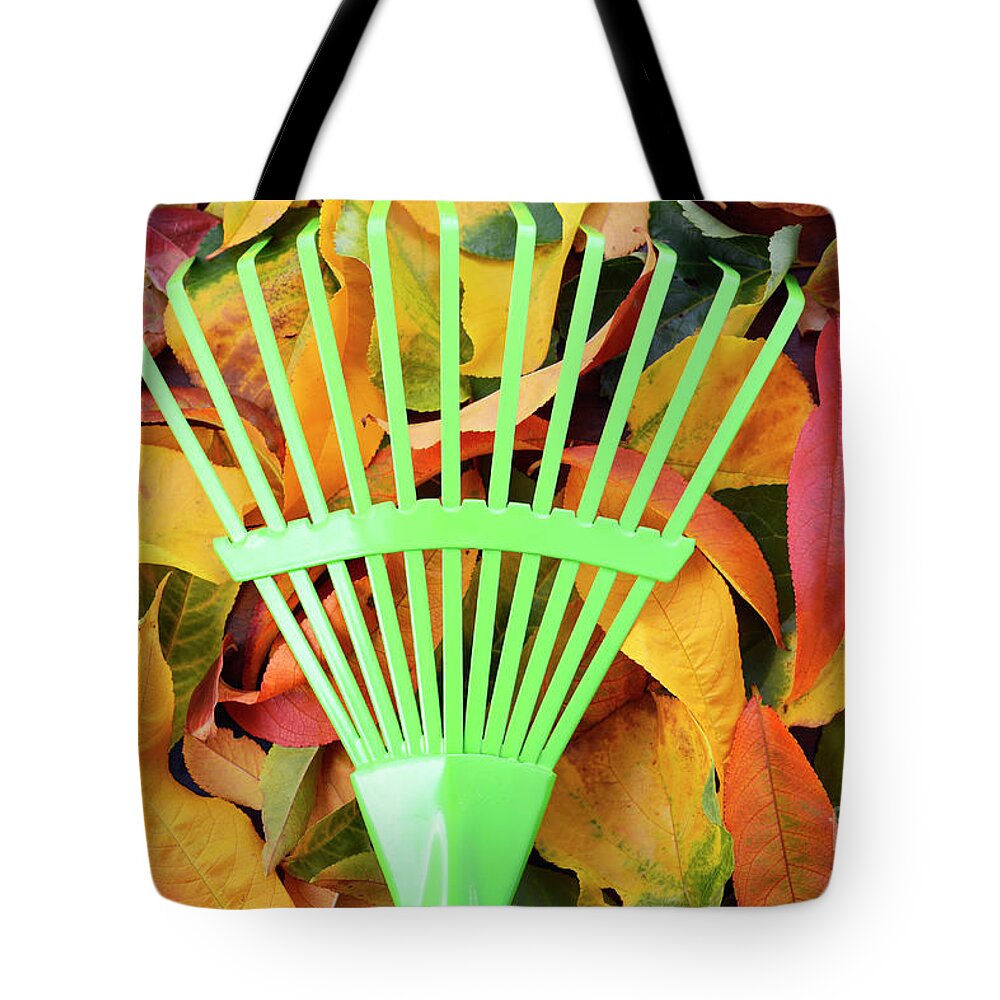Autumn Tote Bag featuring the photograph Autumn Fall Background with Green Rake. by Milleflore Images