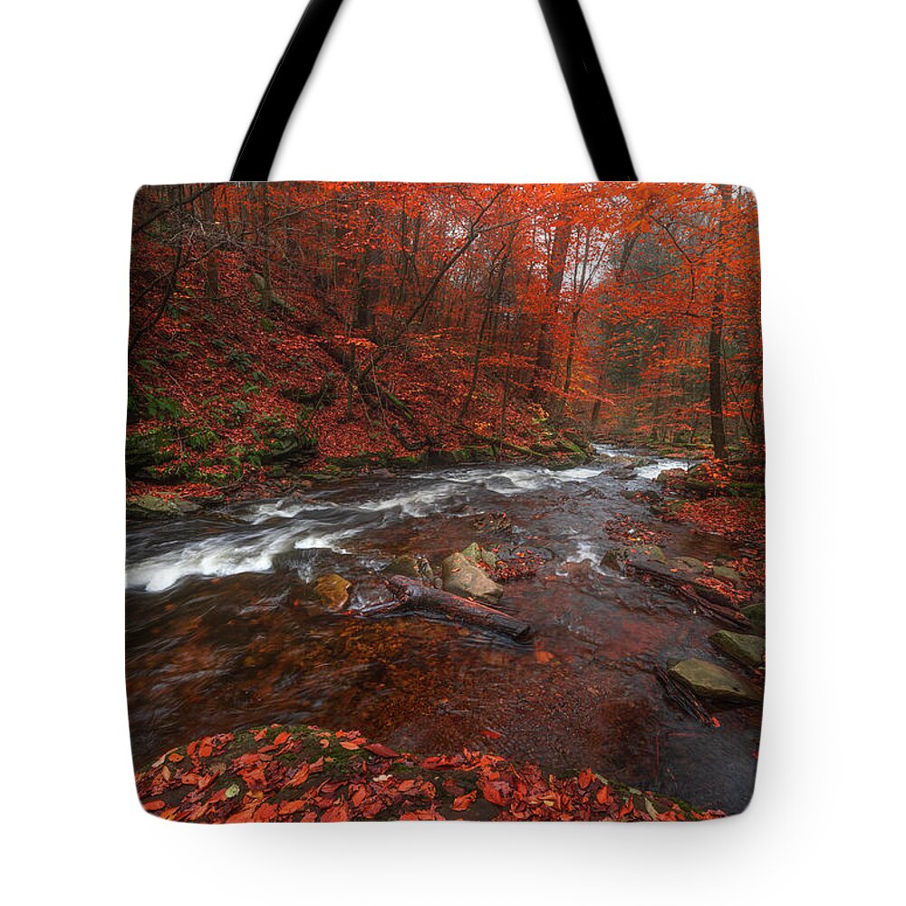 Fall Scenes Tote Bag featuring the photograph Autumn Fire by Darren White