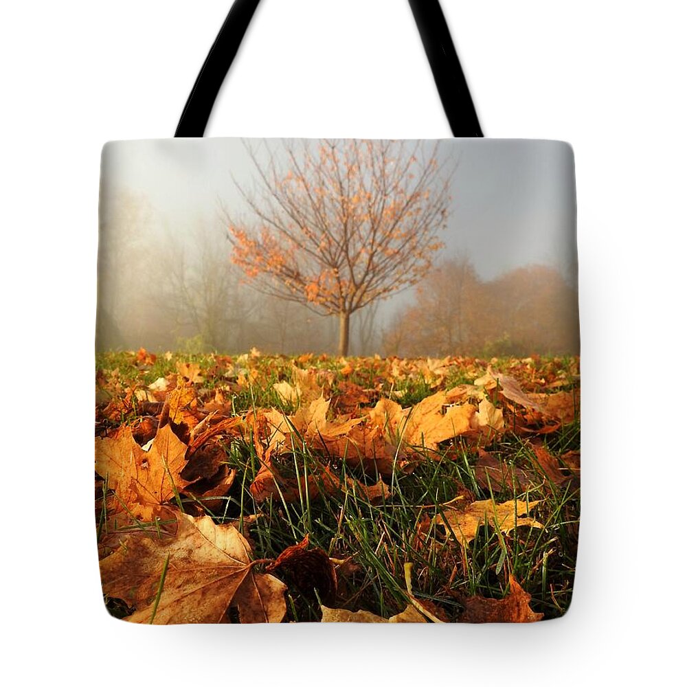 Autumn Tote Bag featuring the photograph Autumn Fog by Dark Whimsy
