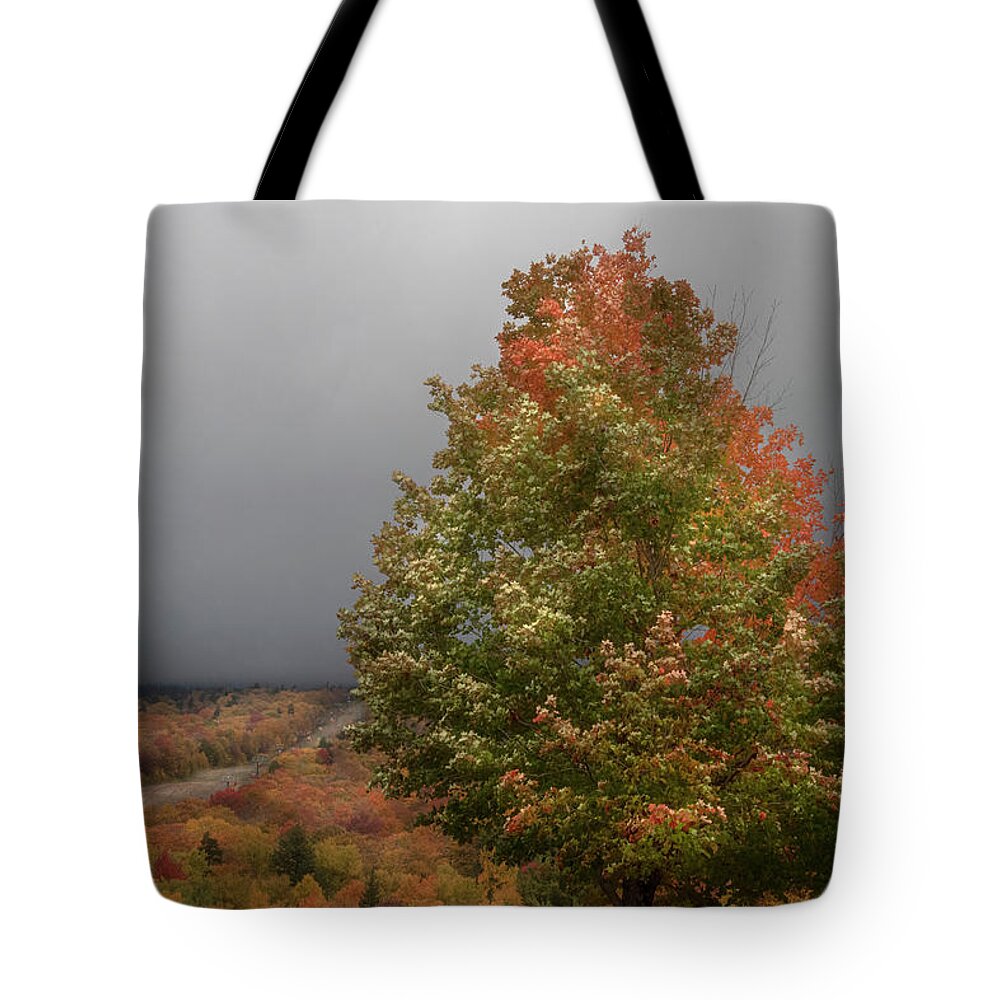 Autumn Tote Bag featuring the photograph Autumn Frost - Stowe, Vt. by Joann Vitali