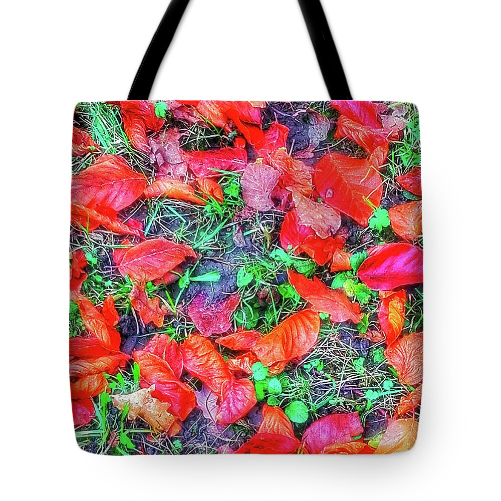 Leaf Tote Bag featuring the photograph Autumn Glory by Mimulux Patricia No