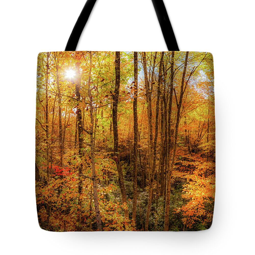 Autumn Tote Bag featuring the photograph Autumn Gold in Them Thar Trees Panorama by Dan Carmichael