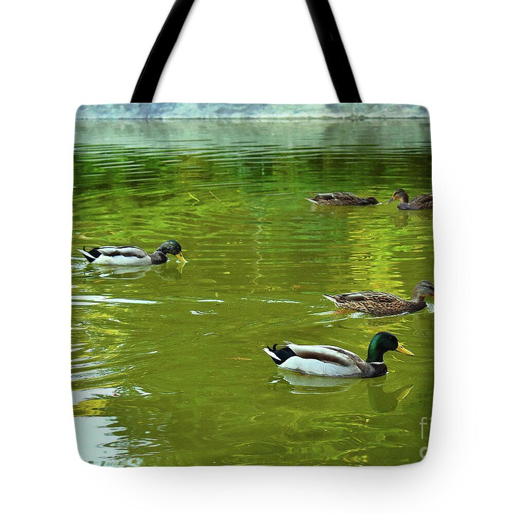 Nature Tote Bag featuring the photograph Autumn Harmony of Ducks Lake by Leonida Arte