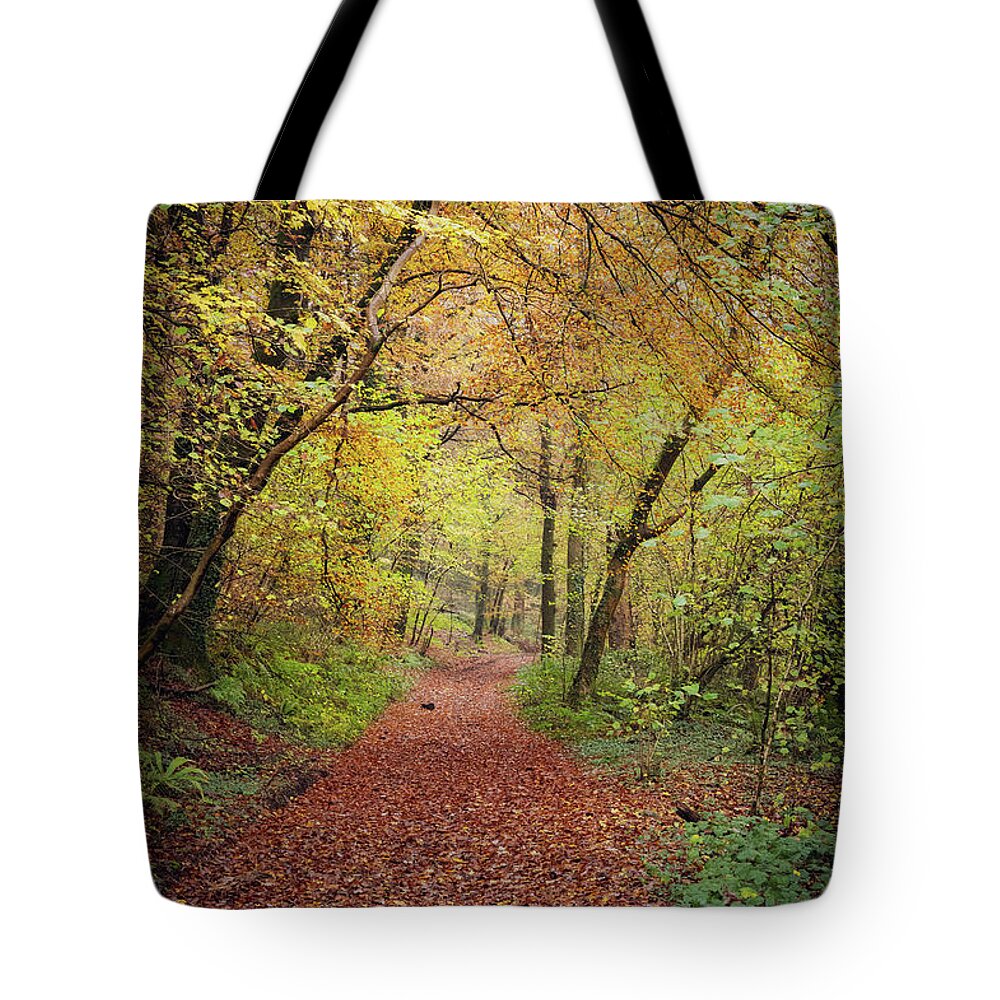 Cardiff Tote Bag featuring the photograph Autumn, in a nutshell by Gavin Lewis