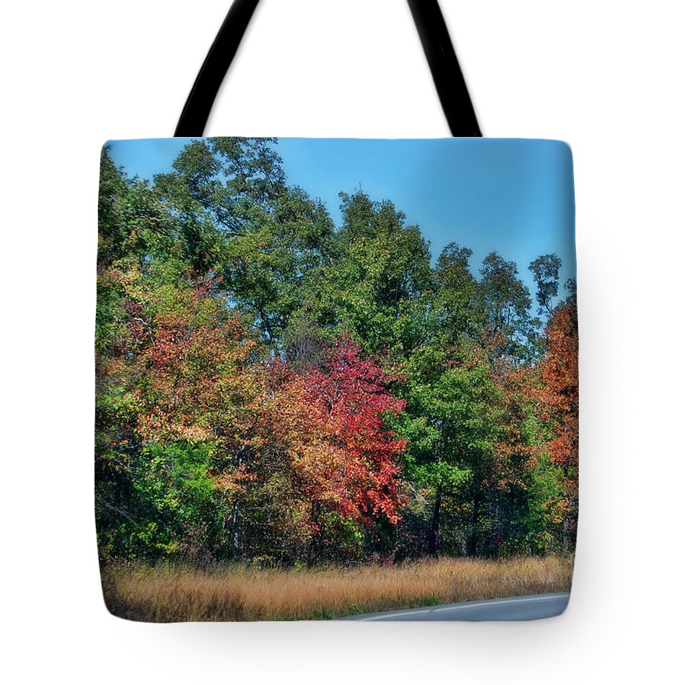 Autumn Tote Bag featuring the photograph Autumn in Arkansa by Joan Bertucci