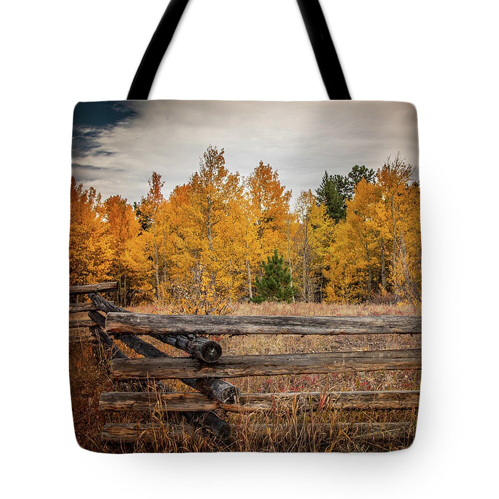 Colorado Tote Bag featuring the photograph Autumn in Colorado by Kevin Schwalbe