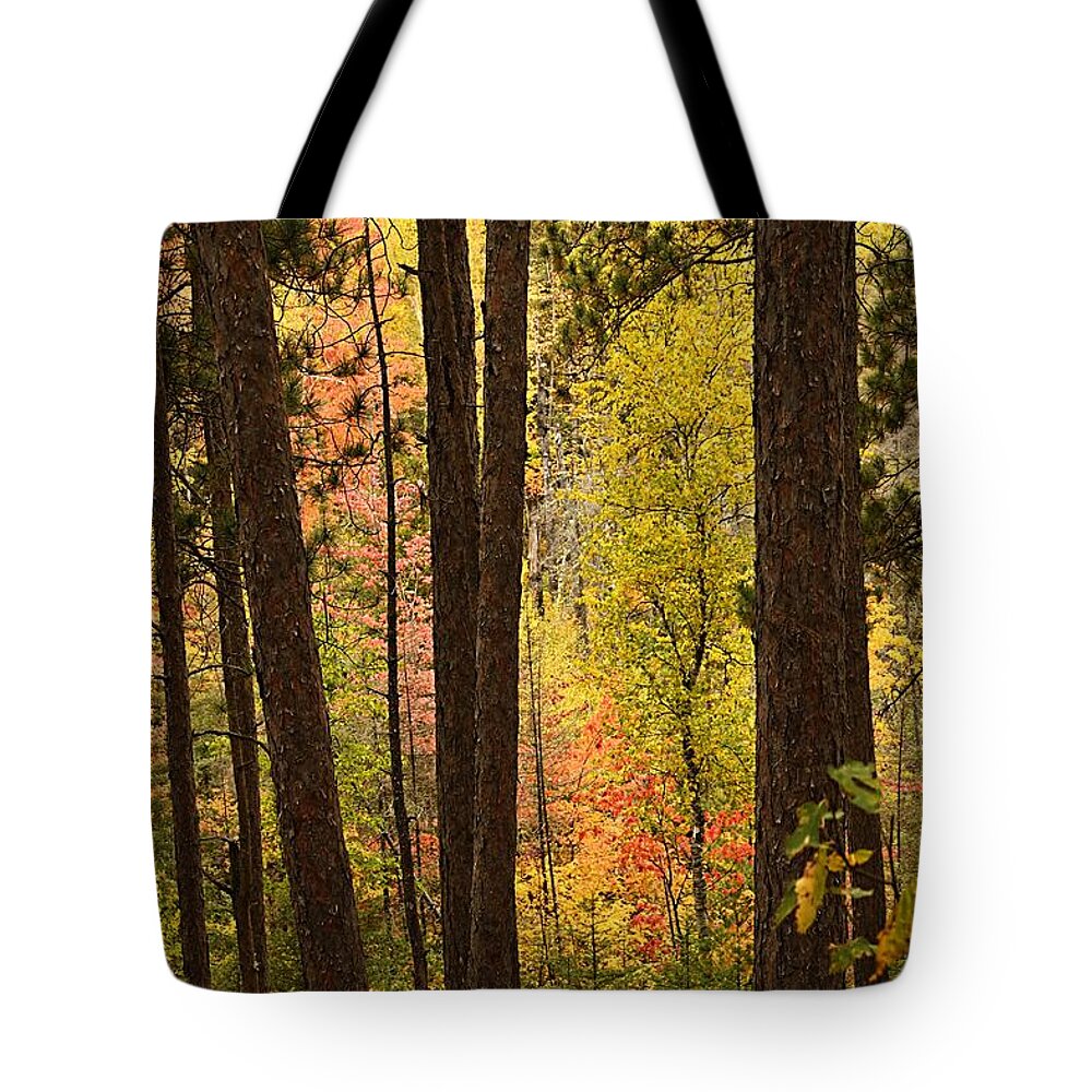Landscape Tote Bag featuring the photograph Autumn in Hiding by Larry Ricker