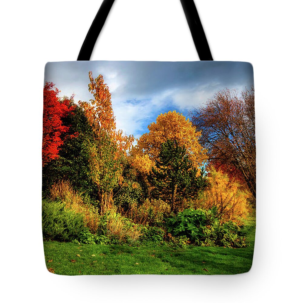 Fall Tote Bag featuring the photograph Autumn in Inveresk by Micah Offman