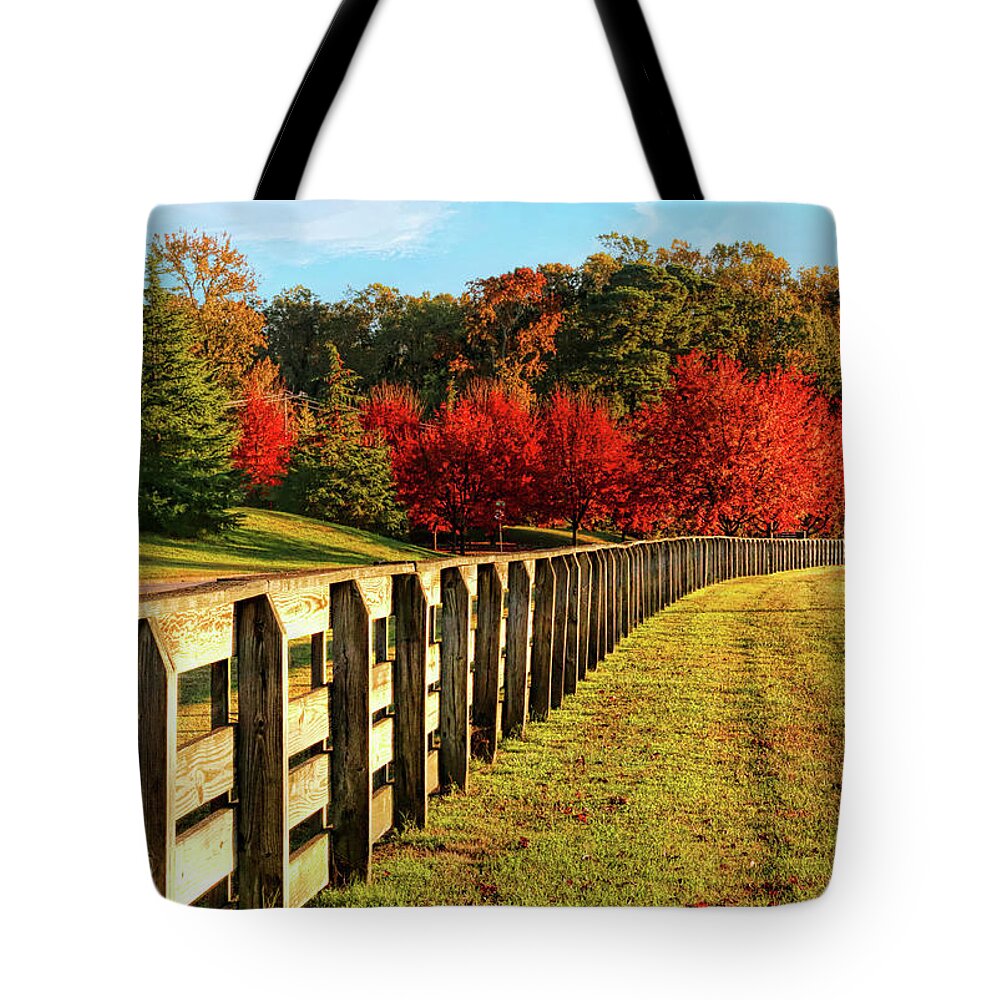 Autumn Tote Bag featuring the photograph Autumn in Riverview Farm Park in Newport News VA by Ola Allen