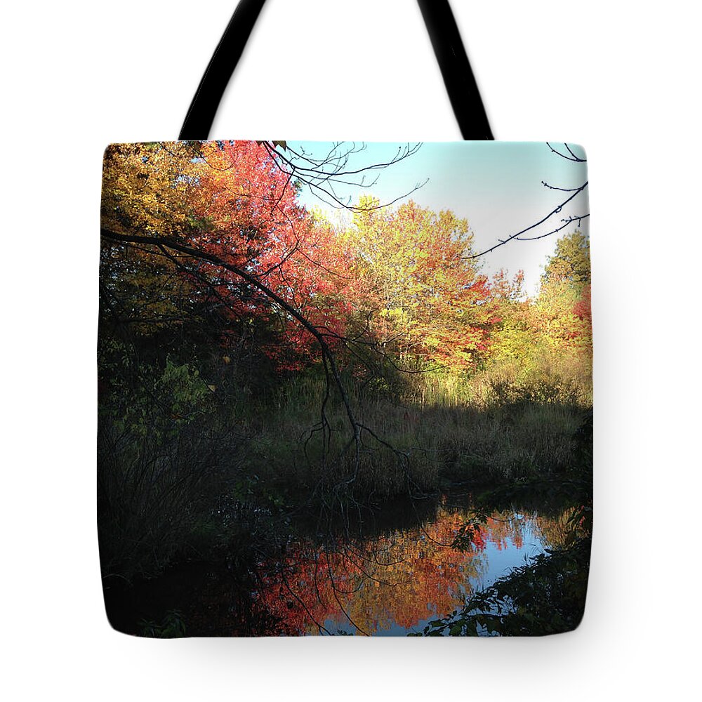 Salem Tote Bag featuring the photograph Autumn in Salem by Roxy Rich