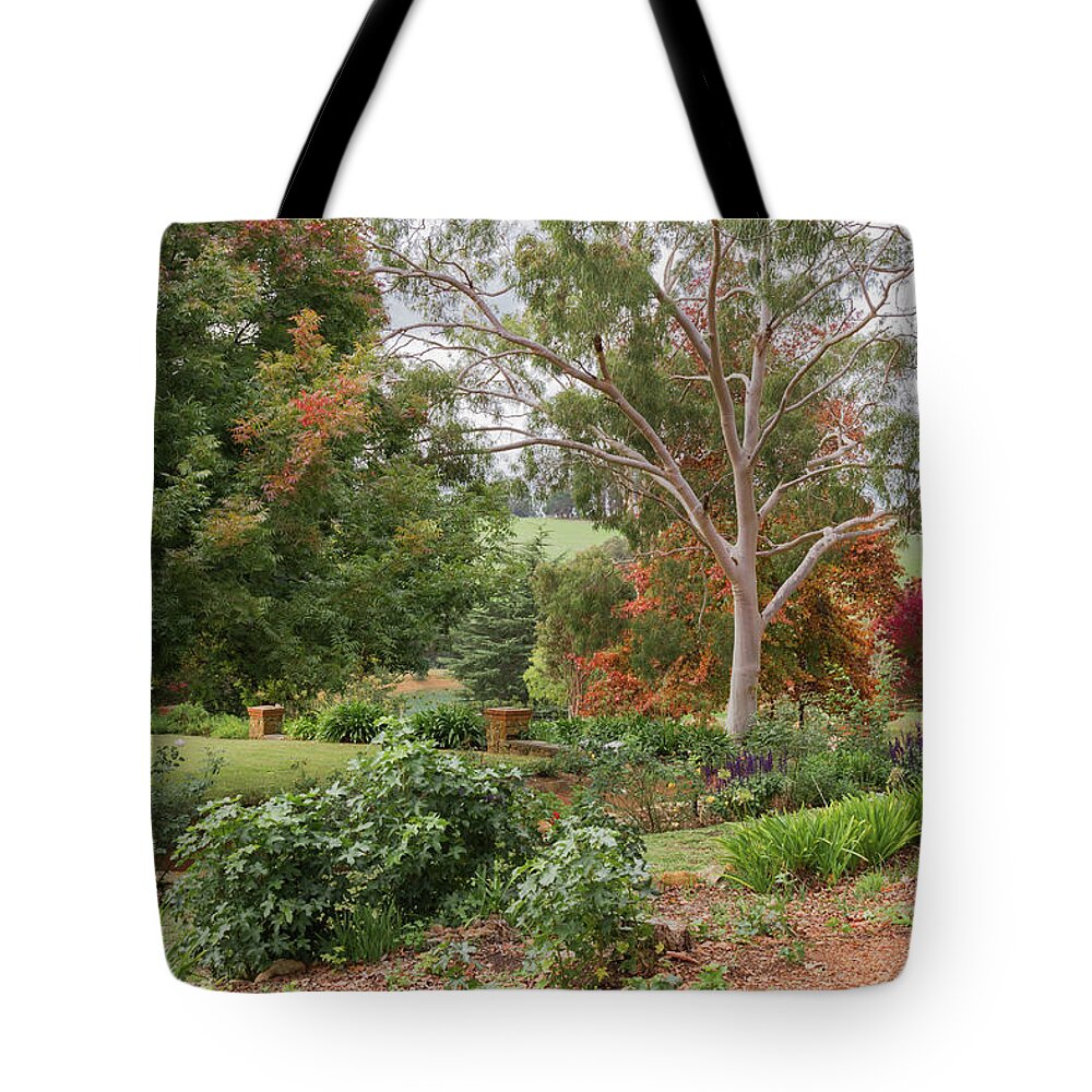 Autumn Tote Bag featuring the photograph Autumn in the Garden 7 by Elaine Teague