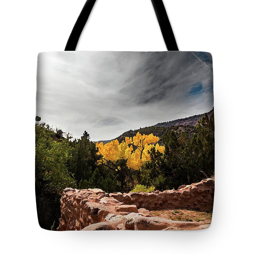 Autumn Tote Bag featuring the photograph Autumn in the Jemez by Neala McCarten