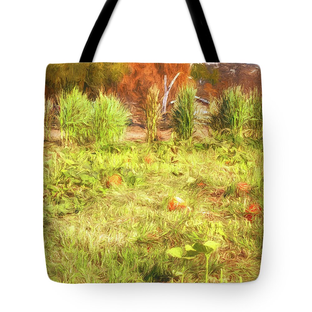 Pumpkin Patch Tote Bag featuring the photograph Autumn in the Pumpkin Patch 3HN by Alison Frank