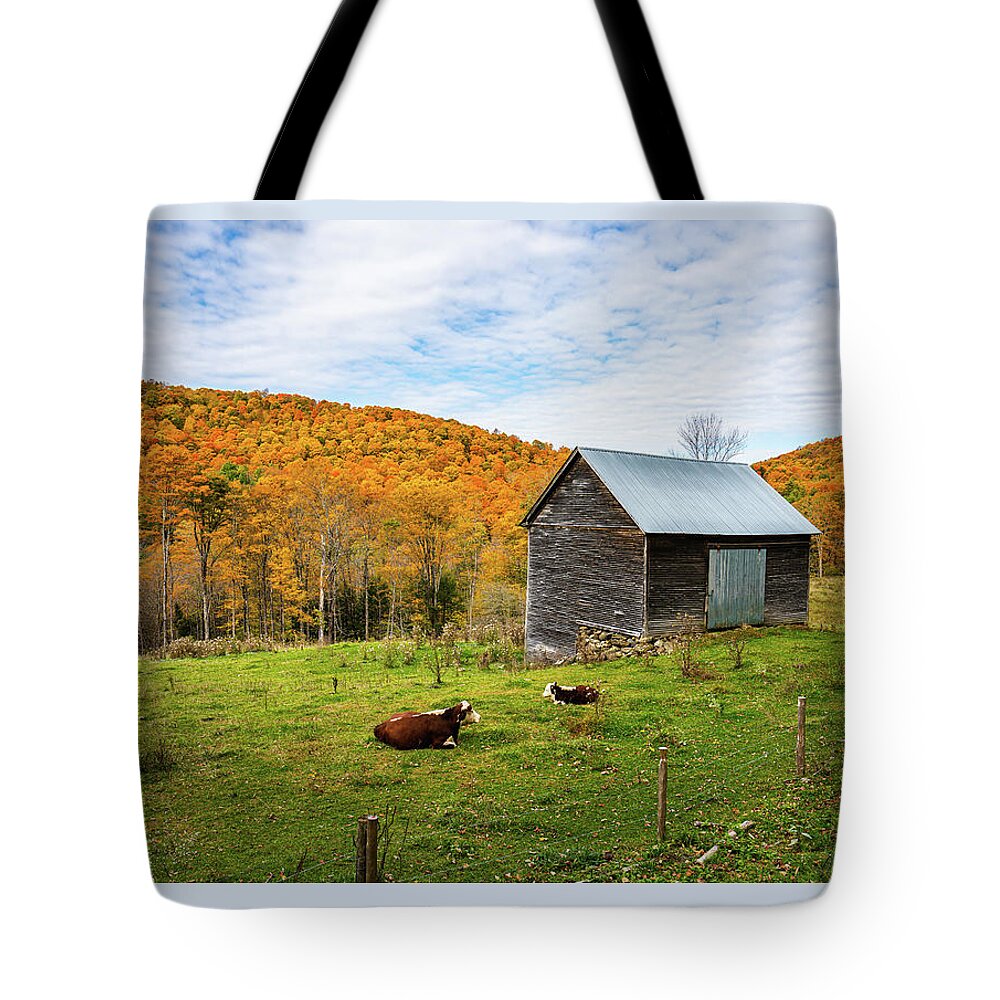 Fall Tote Bag featuring the photograph Autumn in Vermont in the Woodstock Countryside 2 by Ron Long Ltd Photography