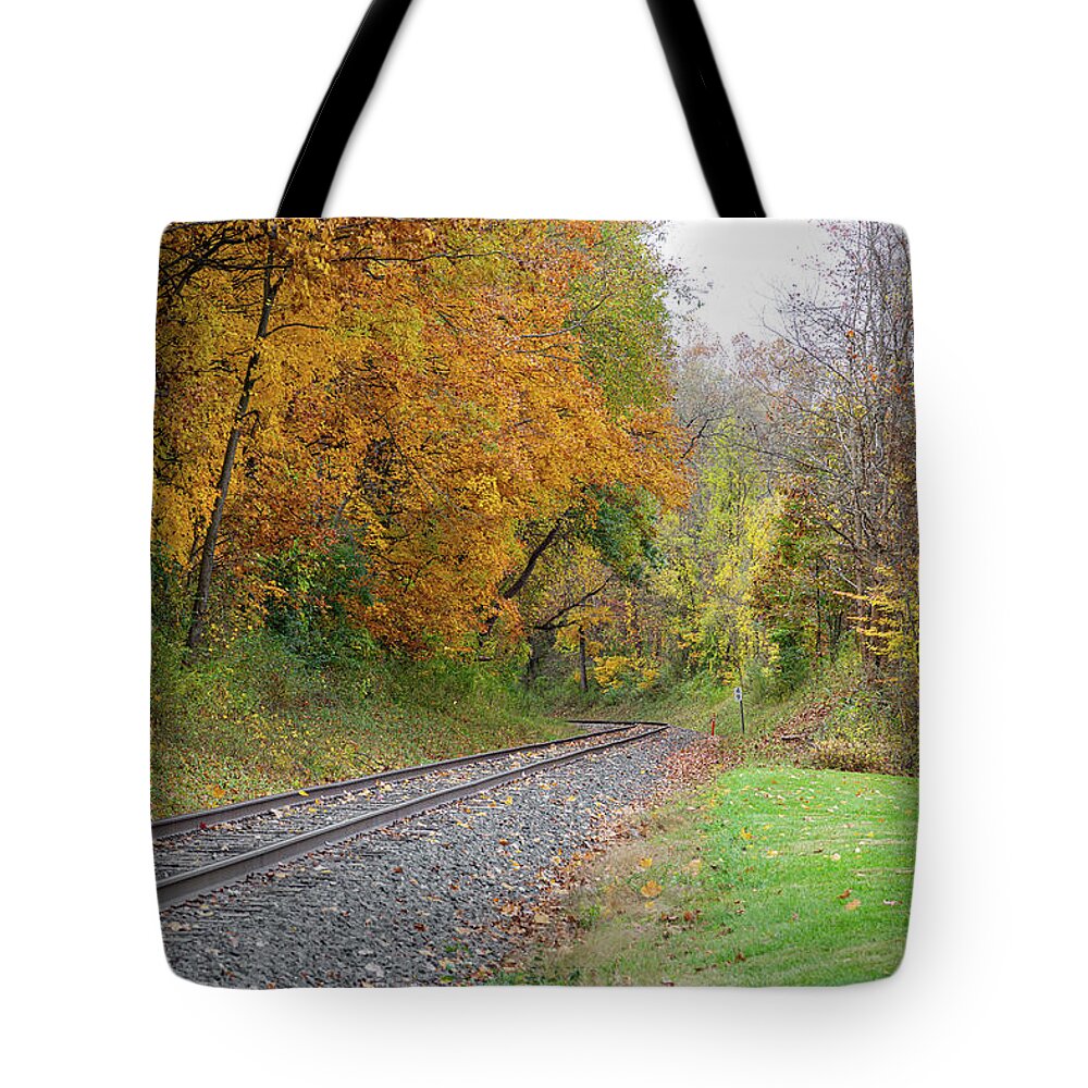 Landscape Tote Bag featuring the photograph Autumn Landscape by Dale Kincaid