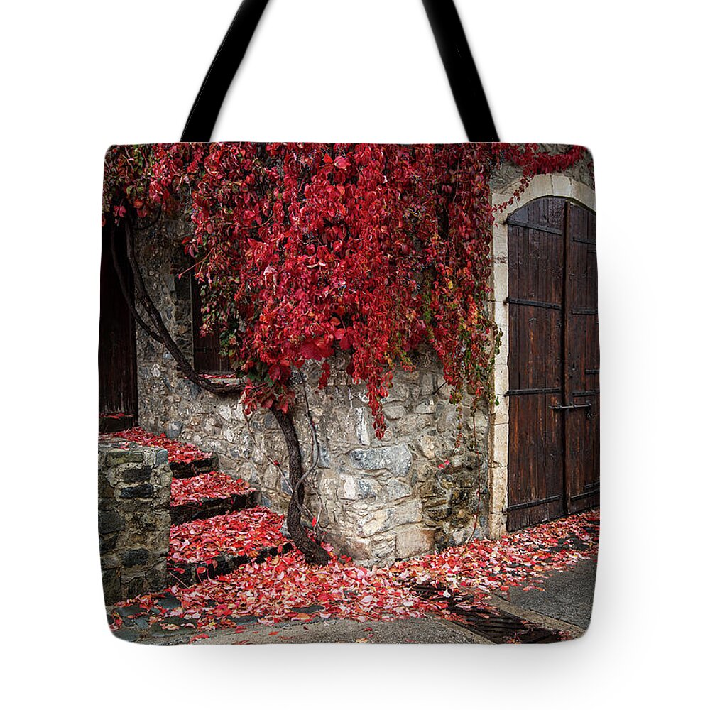 Autumn Tote Bag featuring the photograph Autumn landscape with red plants on a hous wall by Michalakis Ppalis