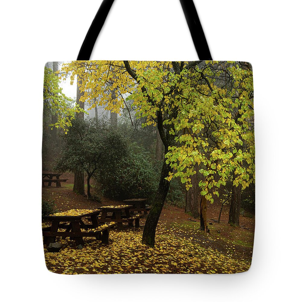 Autumn Tote Bag featuring the photograph Autumn landscape with trees and yellow leaves on the ground after rain by Michalakis Ppalis