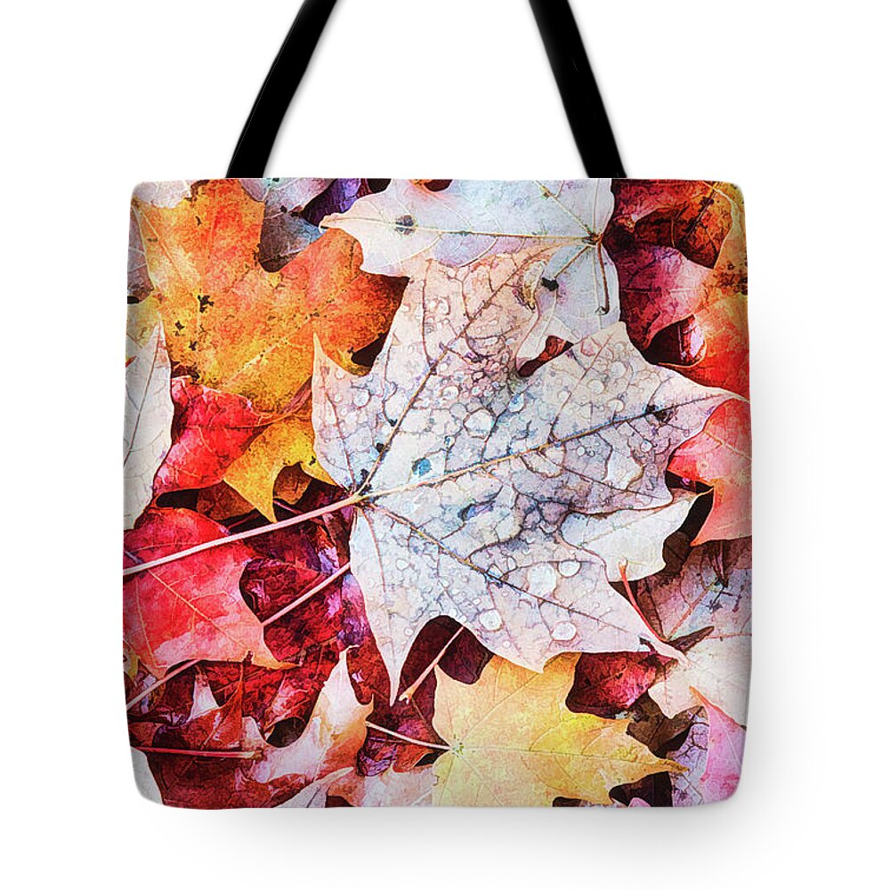 Autumn Tote Bag featuring the photograph Autumn Leaves Abstract by Gary Slawsky