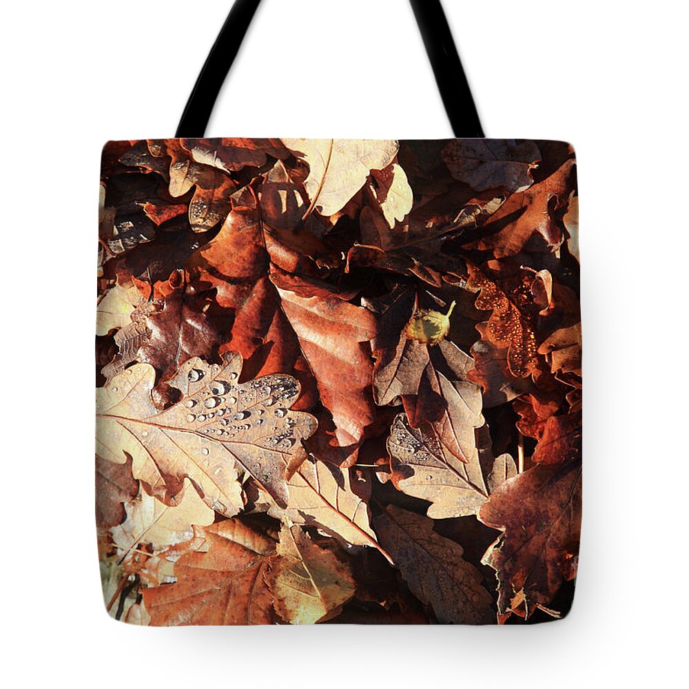 Leaves Tote Bag featuring the photograph Autumn leaves and dewdrops by Bryan Attewell