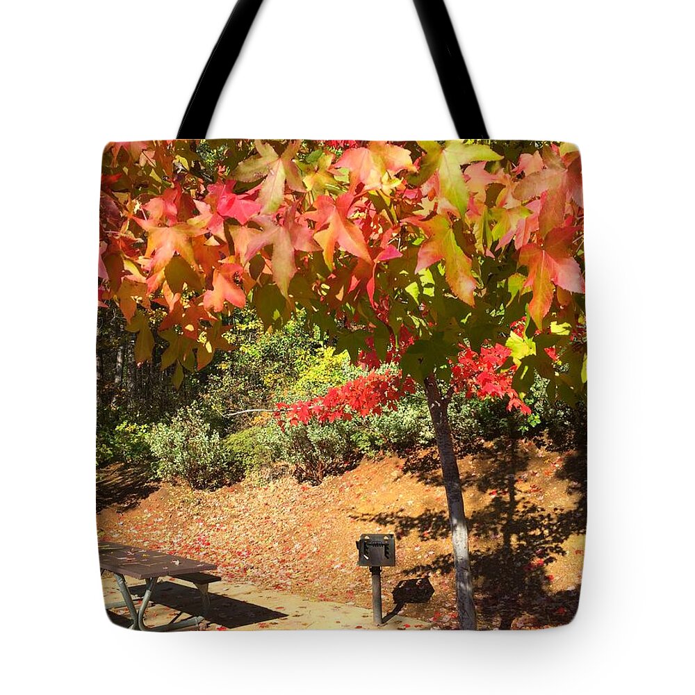 Photograph Tote Bag featuring the photograph Autumn Leaves by Beverly Read