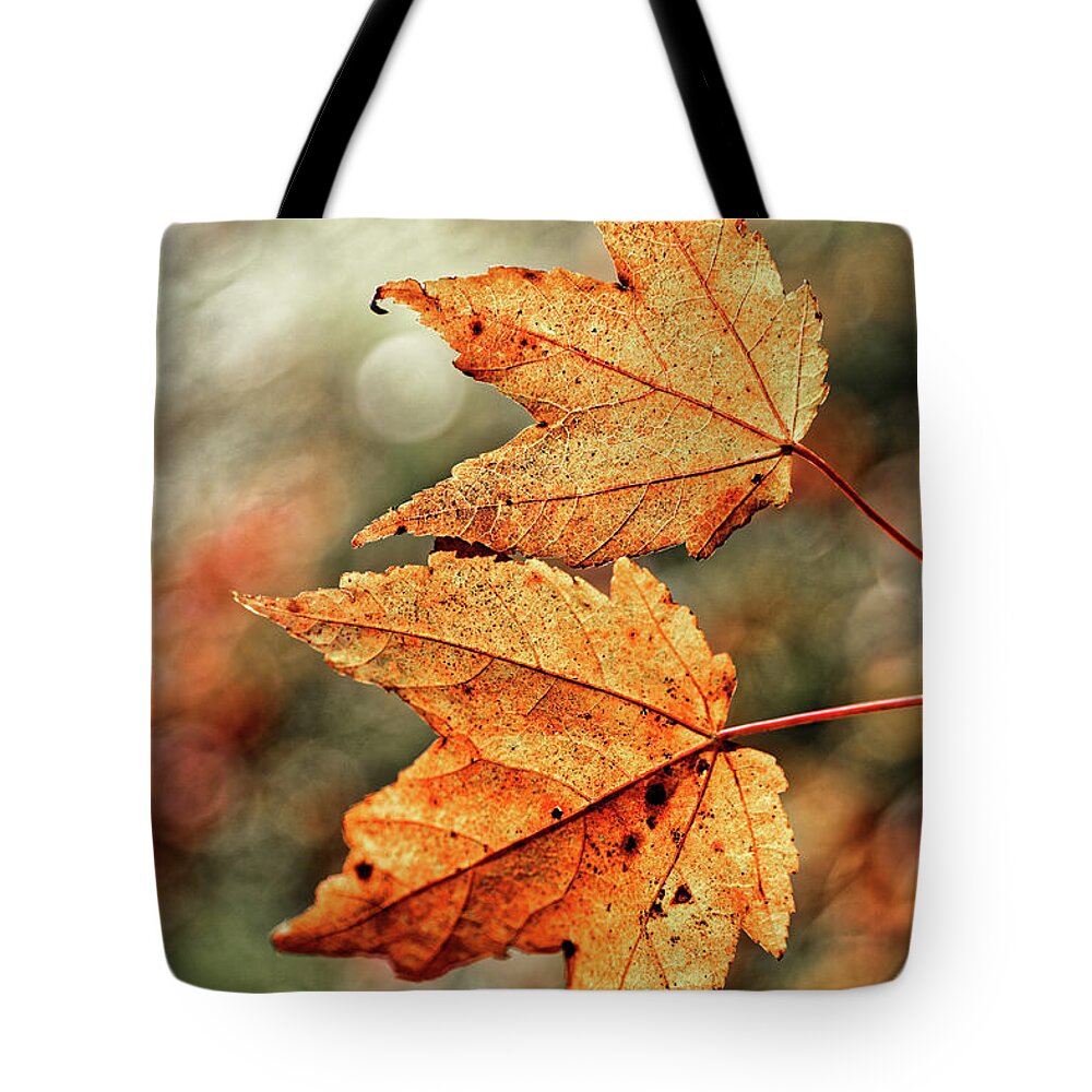 Autumn Leaves Duo Tote Bag featuring the photograph Autumn Leaves Duo by Doolittle Photography and Art