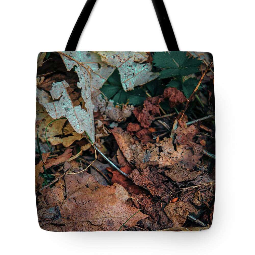 Dry Autumn Leaves Tote Bag featuring the photograph Autumn Leaves in the Spring by Deb Beausoleil