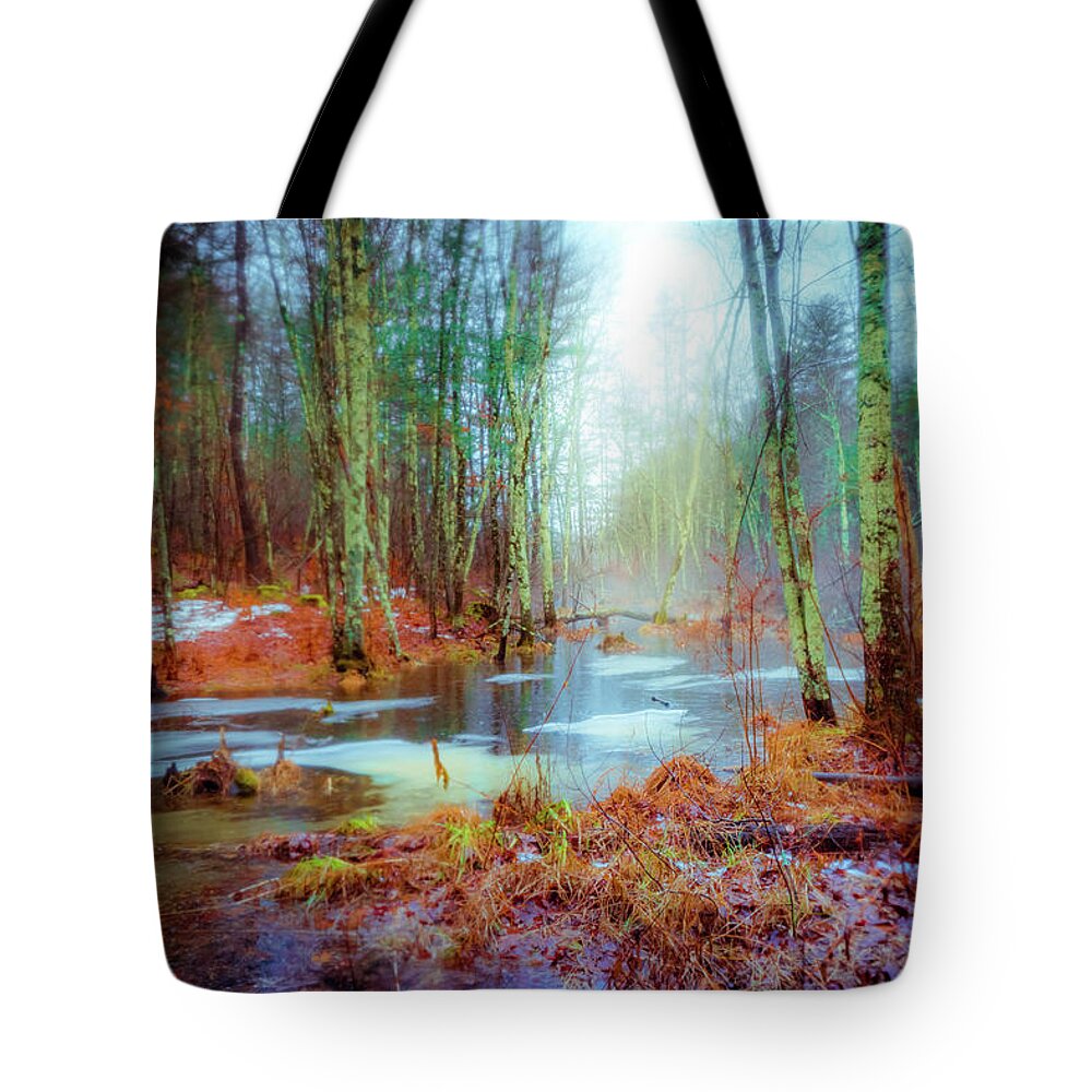 Winter Wonders Tote Bag featuring the photograph Autumn morning by Lilia S