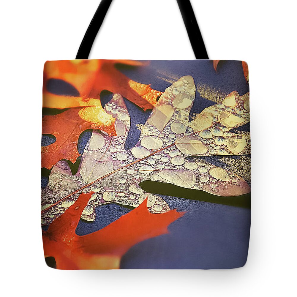Autumn Mornings And Dewy Leaves Tote Bag featuring the photograph Autumn Mornings and Dewy Leaves by Christina McGoran