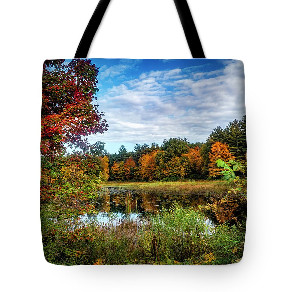 Colors Of Autumn Tote Bag featuring the photograph Autumn nature landscape 1 by Lilia S
