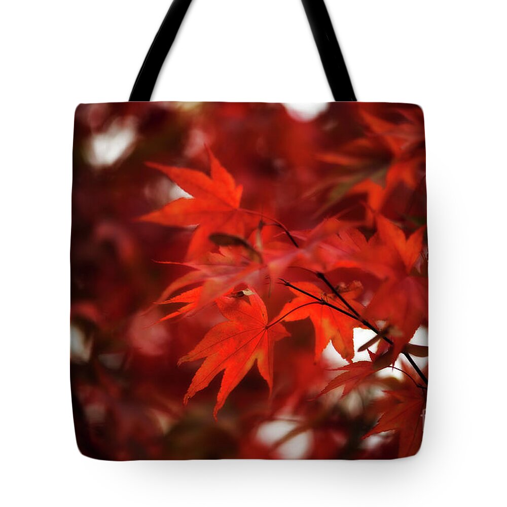 Botanical Tote Bag featuring the photograph Autumn On My Mind by Venetta Archer