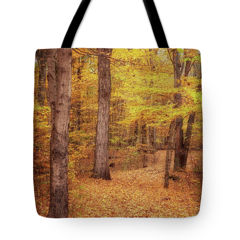 Trail Of Twelve Stones Tote Bag featuring the photograph Autumn on the Trail of Twelve Stones by Susan Rissi Tregoning