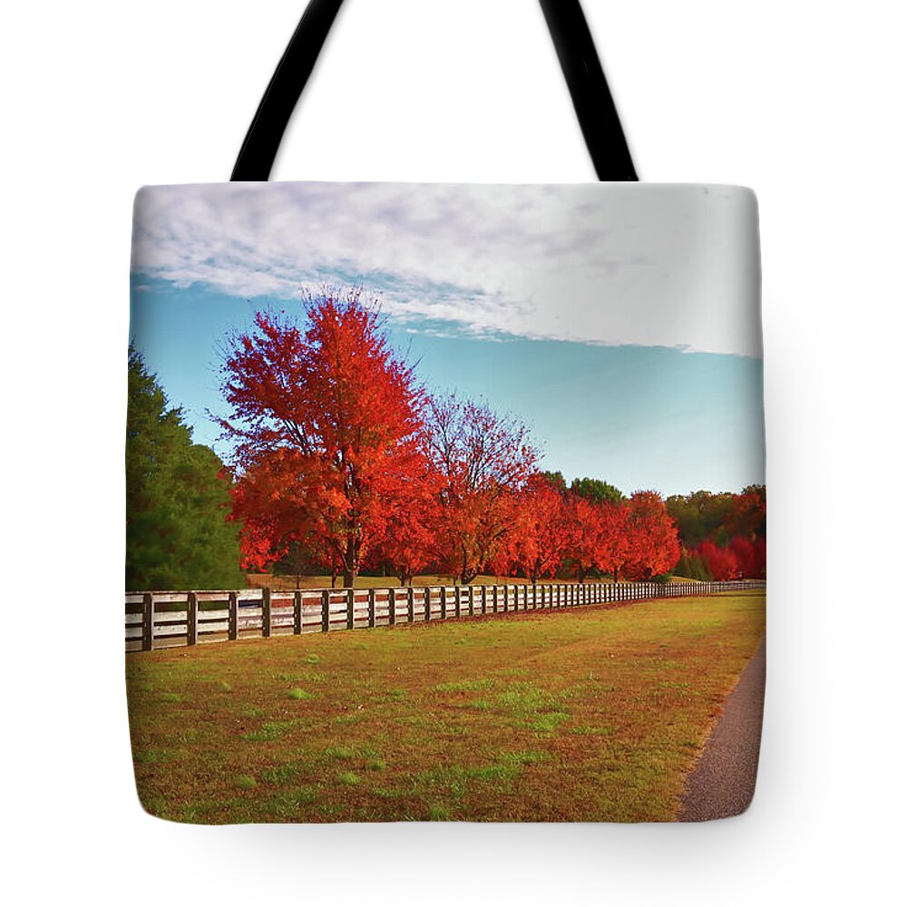 Riverview Farm Park Tote Bag featuring the photograph Autumn Reds in Riverview Farm Park by Ola Allen