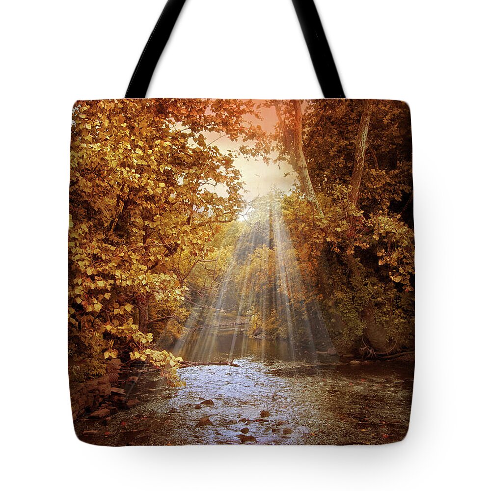 Autumn Tote Bag featuring the photograph Autumn River Light by Jessica Jenney